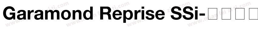 Garamond Reprise SSi字体转换